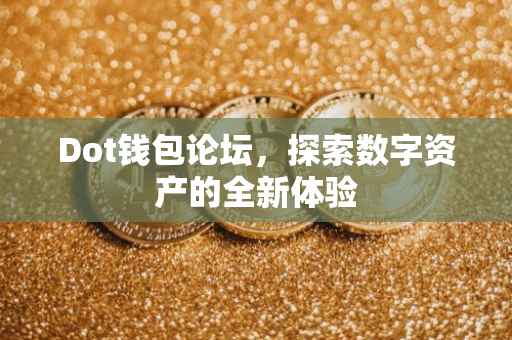 Dot钱包论坛，探索数字资产的全新体验