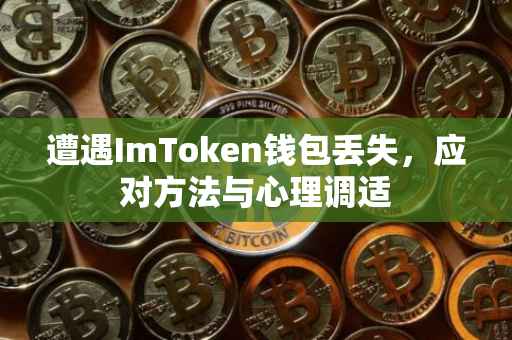 遭遇ImToken钱包丢失，应对方法与心理调适