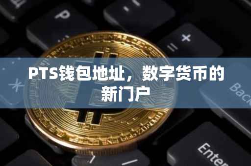 PTS钱包地址，数字货币的新门户