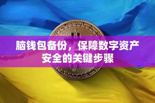 脑钱包备份，保障数字资产安全的关键步骤