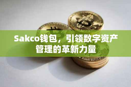Sakco钱包，引领数字资产管理的革新力量