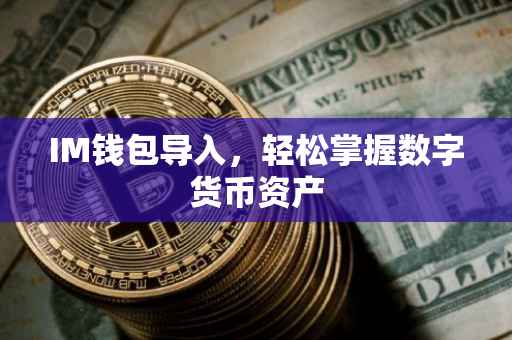 IM钱包导入，轻松掌握数字货币资产