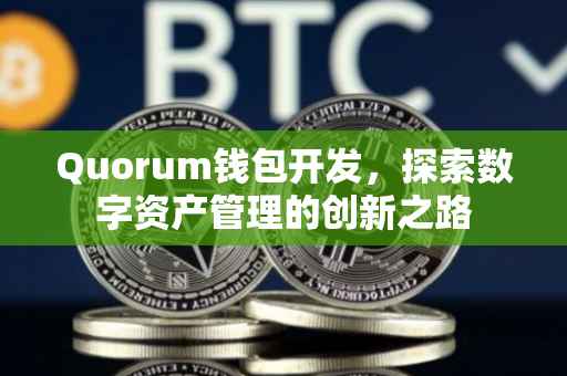 Quorum钱包开发，探索数字资产管理的创新之路