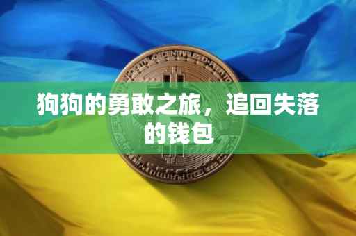 狗狗的勇敢之旅，追回失落的钱包