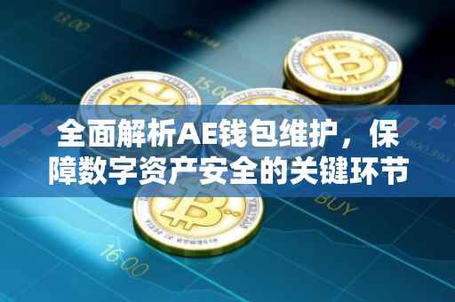 全面解析AE钱包维护，保障数字资产安全的关键环节