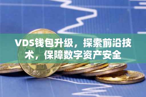 VDS钱包升级，探索前沿技术，保障数字资产安全