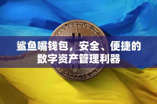 鲨鱼嘴钱包，安全、便捷的数字资产管理利器