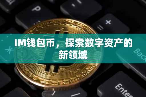 IM钱包币，探索数字资产的新领域