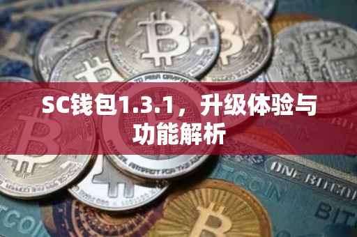 SC钱包1.3.1，升级体验与功能解析