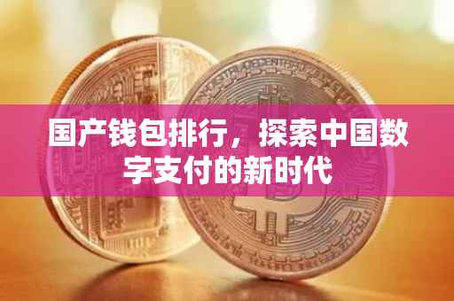 国产钱包排行，探索中国数字支付的新时代