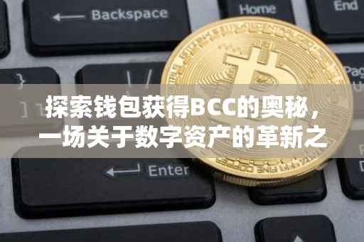 探索钱包获得BCC的奥秘，一场关于数字资产的革新之旅