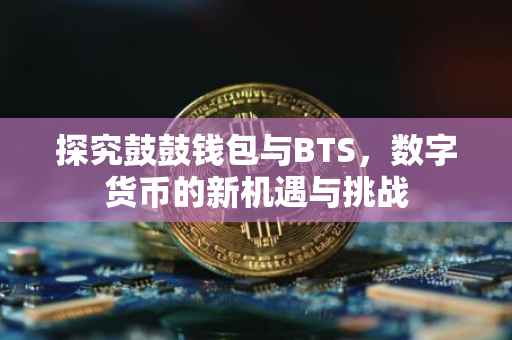 探究鼓鼓钱包与BTS，数字货币的新机遇与挑战