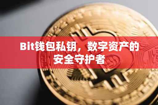 Bit钱包私钥，数字资产的安全守护者