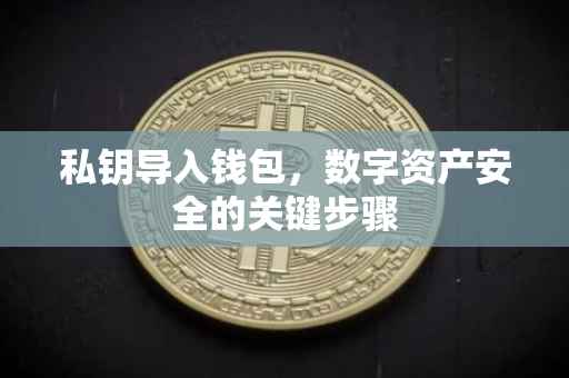 私钥导入钱包，数字资产安全的关键步骤