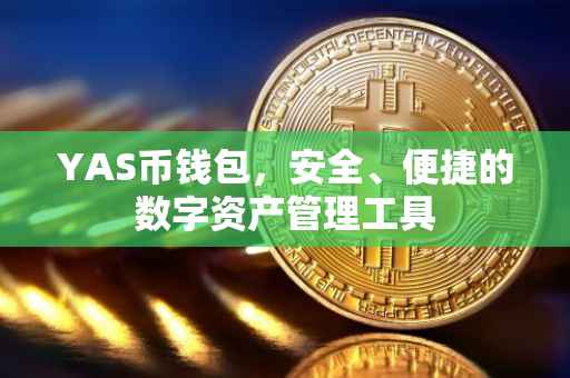 YAS币钱包，安全、便捷的数字资产管理工具