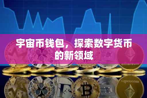 宇宙币钱包，探索数字货币的新领域