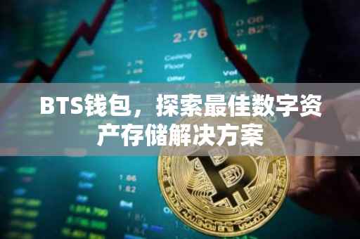 BTS钱包，探索最佳数字资产存储解决方案