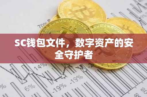 SC钱包文件，数字资产的安全守护者