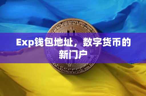 Exp钱包地址，数字货币的新门户