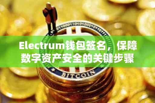 Electrum钱包签名，保障数字资产安全的关键步骤