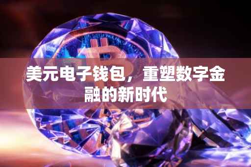 美元电子钱包，重塑数字金融的新时代
