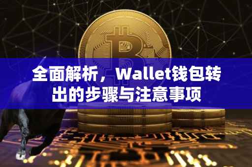全面解析，Wallet钱包转出的步骤与注意事项