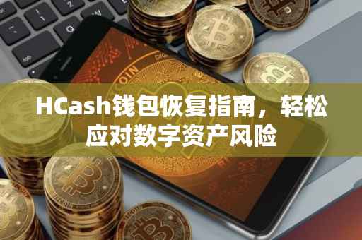 HCash钱包恢复指南，轻松应对数字资产风险