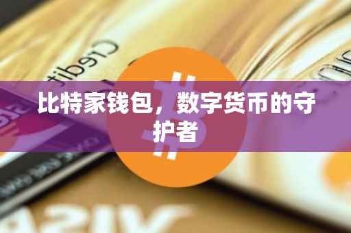 比特家钱包，数字货币的守护者