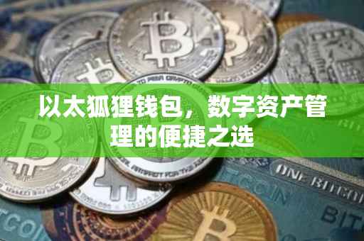 以太狐狸钱包，数字资产管理的便捷之选