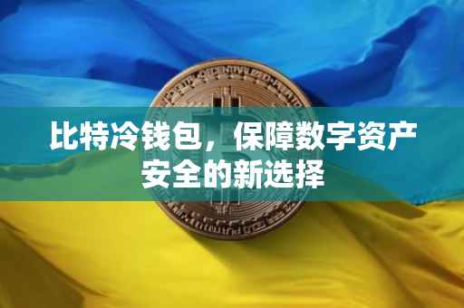 比特冷钱包，保障数字资产安全的新选择