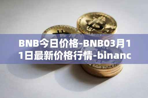 BNB今日价格-BNB03月11日最新价格行情-binance-coin最新走势消息