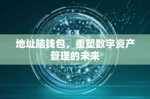 地址脑钱包，重塑数字资产管理的未来