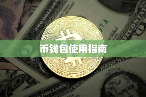 币钱包使用指南