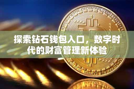 探索钻石钱包入口，数字时代的财富管理新体验