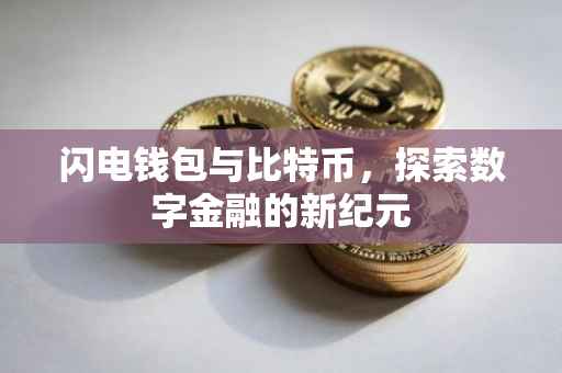 闪电钱包与比特币，探索数字金融的新纪元