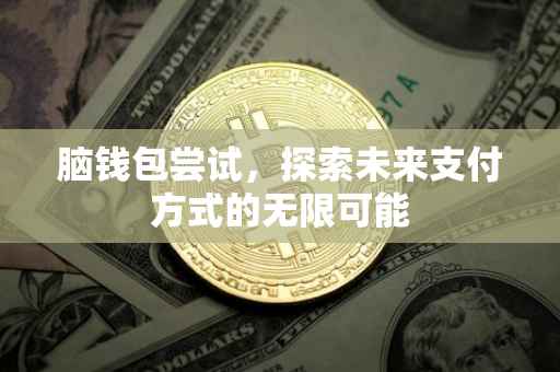 脑钱包尝试，探索未来支付方式的无限可能