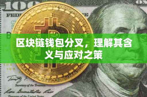 区块链钱包分叉，理解其含义与应对之策