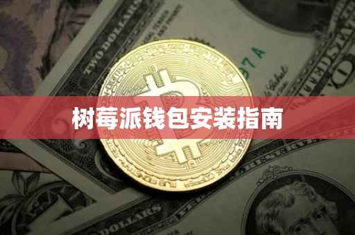 树莓派钱包安装指南