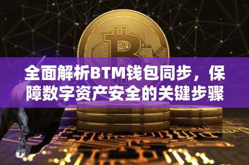 全面解析BTM钱包同步，保障数字资产安全的关键步骤