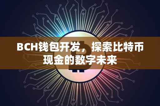 BCH钱包开发，探索比特币现金的数字未来