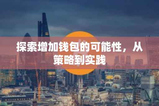 探索增加钱包的可能性，从策略到实践