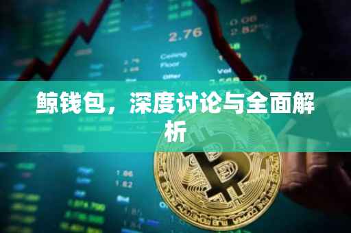 鲸钱包，深度讨论与全面解析