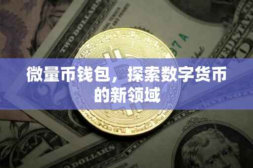 微量币钱包，探索数字货币的新领域