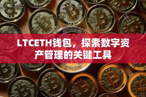 LTCETH钱包，探索数字资产管理的关键工具