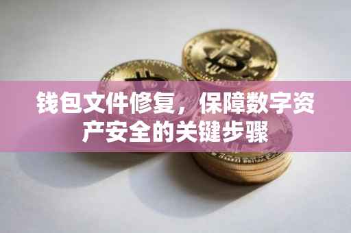钱包文件修复，保障数字资产安全的关键步骤