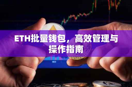 ETH批量钱包，高效管理与操作指南