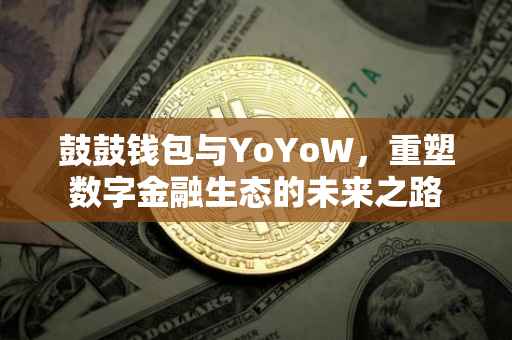 鼓鼓钱包与YoYoW，重塑数字金融生态的未来之路