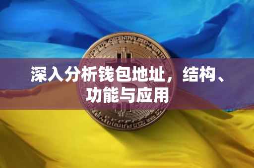 深入分析钱包地址，结构、功能与应用
