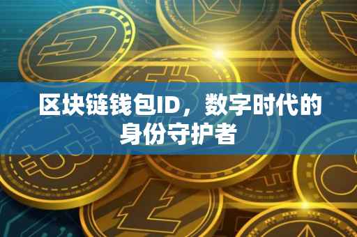 区块链钱包ID，数字时代的身份守护者