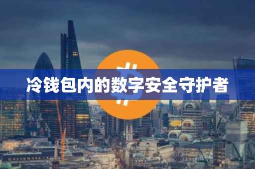 冷钱包内的数字安全守护者